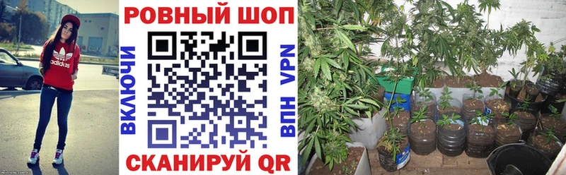 Где купить наркоту Калач-на-Дону СК Меф мяу мяу COCAIN Гашиш Амфетамин Каннабис