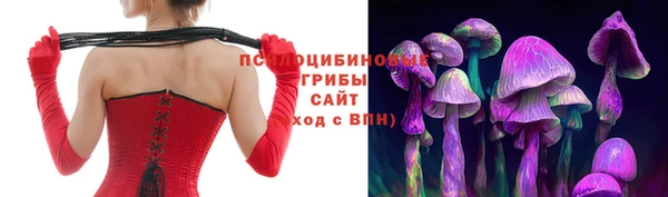 дурь Володарск
