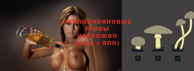 сатива Вязники