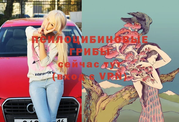 дурь Володарск
