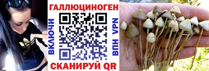 маркетплейс телеграм  Калач-на-Дону  Псилоцибиновые грибы Psilocybe  блэк спрут маркетплейс 